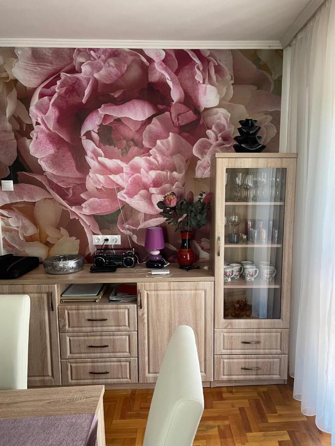 Rozsa Nyaralohaz Villa Balatonboglár Buitenkant foto