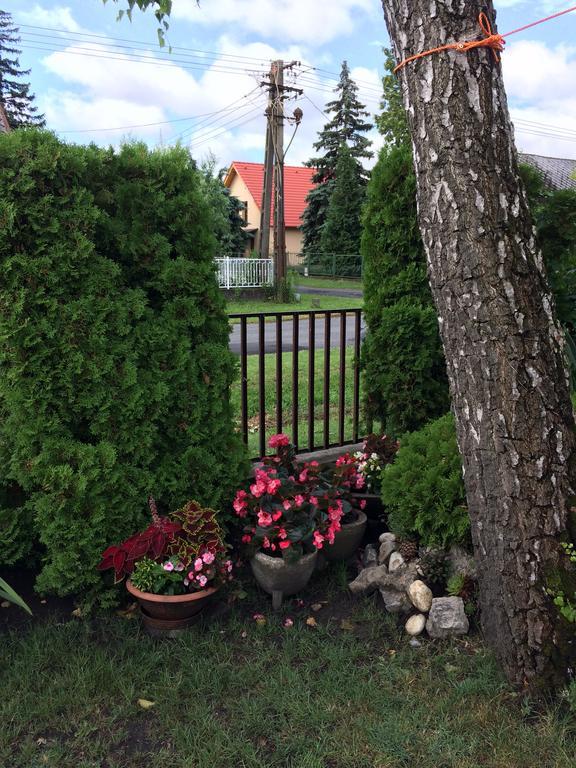 Rozsa Nyaralohaz Villa Balatonboglár Buitenkant foto